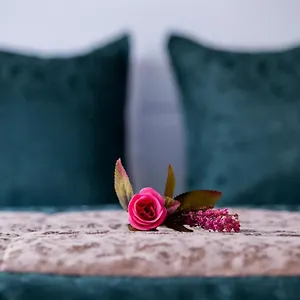 احجز هنا